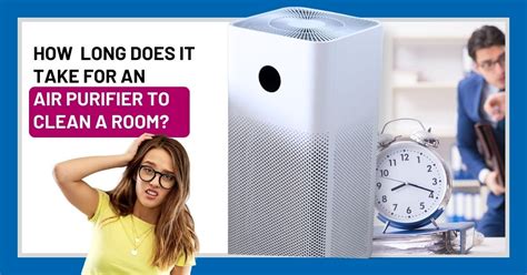 How Long Does It Take for an Air Purifier to Clean a Room? And Why Do Cats Always Sit in Front of It?