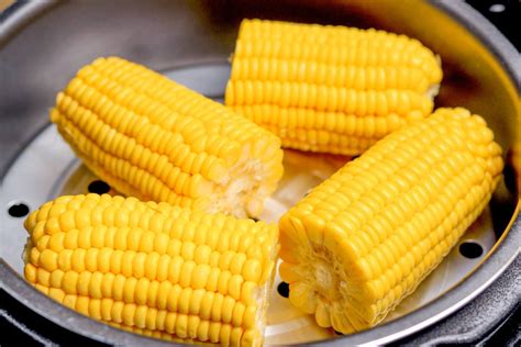 How Long to Steam Corn on the Cob in an Electric Steamer: A Journey Through Time and Taste