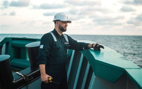 How to Get a Job on a Cargo Ship: And Why You Should Consider Befriending a Seagull