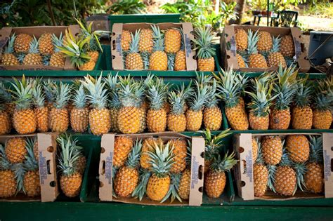 Is it expensive to ship to Hawaii? And why do pineapples always seem to get there faster than my packages?