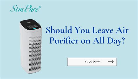 Should You Leave Air Purifier on All the Time? And Why Do Cats Always Sit on the Cleanest Spot?