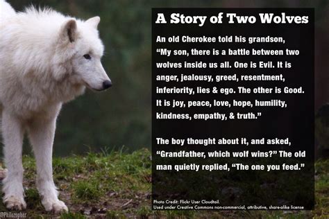  The Tale of the Two Wolves -  An Enchanting Story About the Eternal Struggle Within Us!