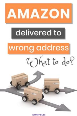 What to Do with Amazon Package Delivered to Wrong Address: A Journey Through the Maze of Misdeliveries and the Art of Letting Go