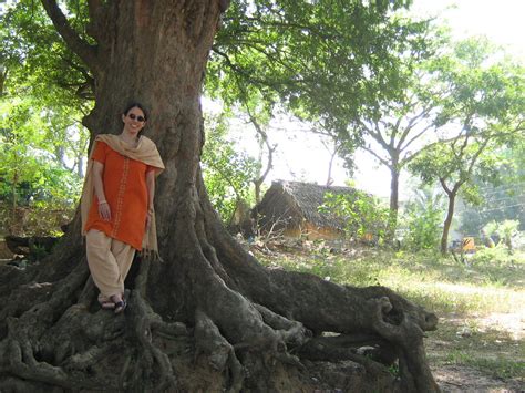 Young Men Who Lived Under a Tamarind Tree: Unraveling the Threads of Identity and Belonging in a Malaysian Folktale!